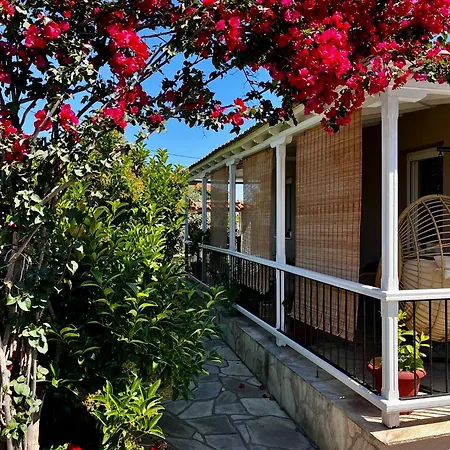 Skapin House Holiday home
